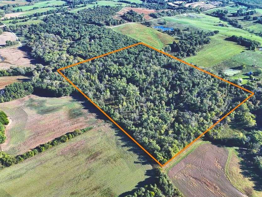 37.5 Acres on a Dead-End Road Honey Hole!
